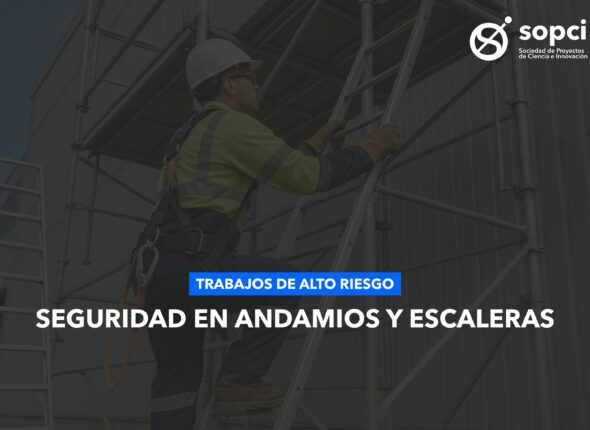 10025A008 - SEGURIDAD EN ANDAMIOS Y ESCALERAS